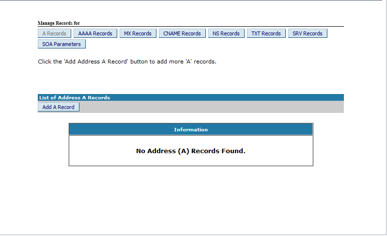 DNS Management Panel
